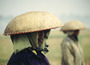 bali - field workers 2.jpg